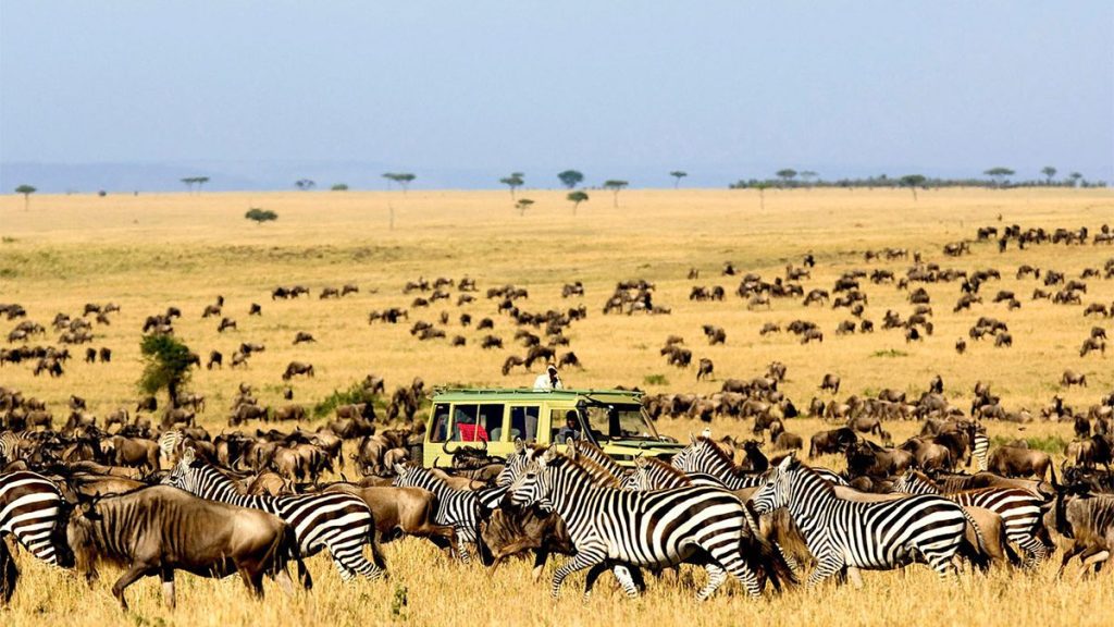 Safaro-tours-to-serengeti-national-park-1200x675-1