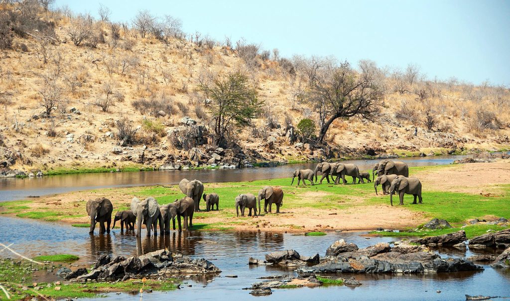 ruaha-national-park-featured