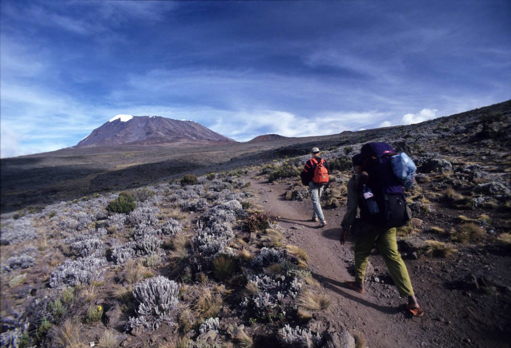 Climbers-trekking-Mount-Kilimanjaro-via-Marangu-Route-Easy-Travel-Tanzania-scaled