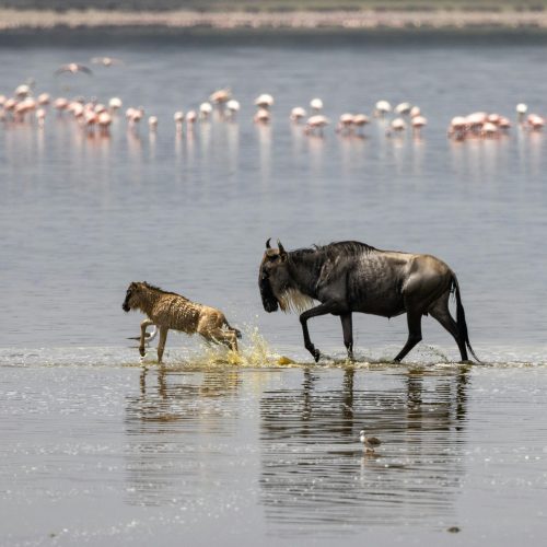 Serengeti National Park